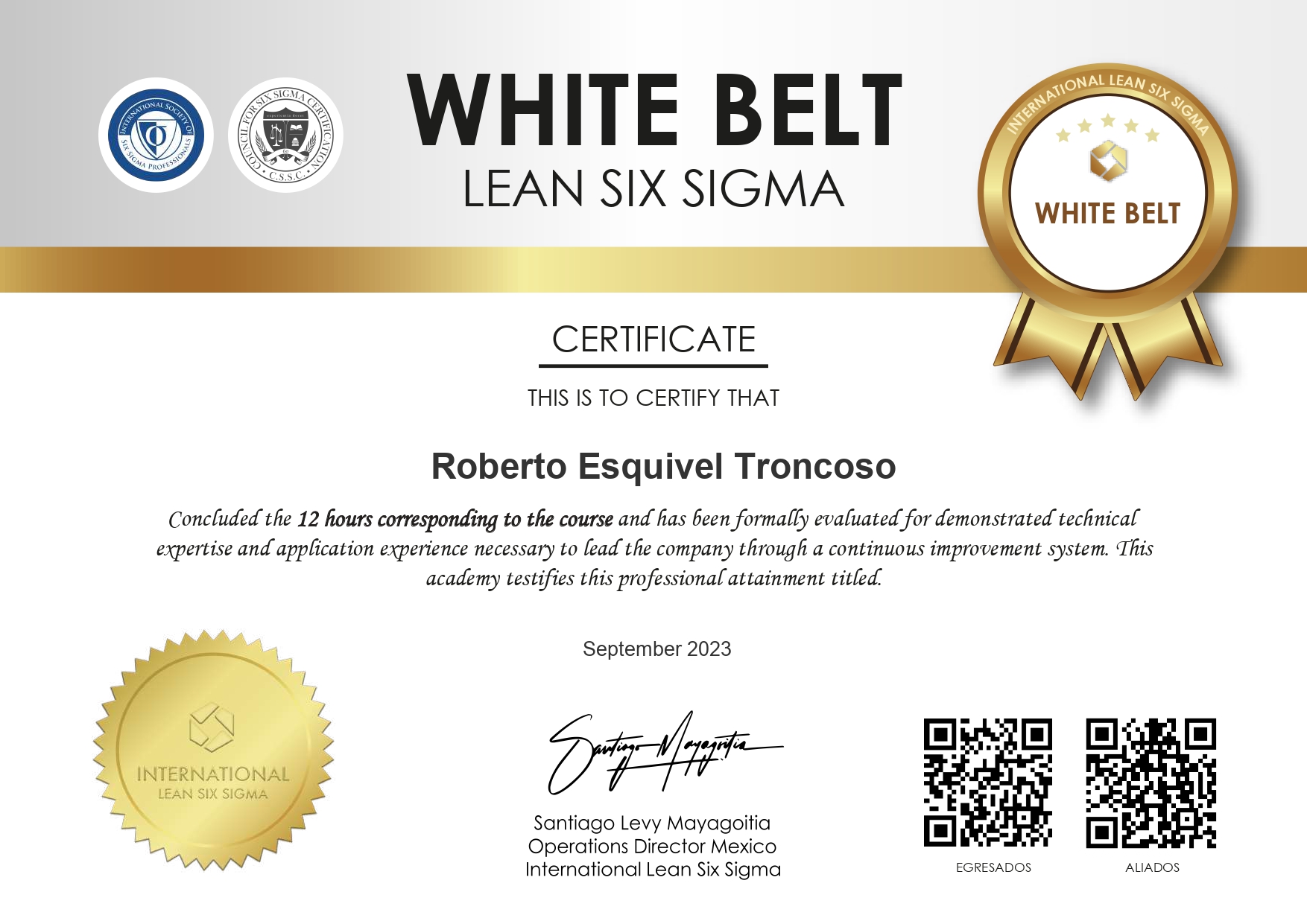 Github Retbot Lean Six Sigma White Belt